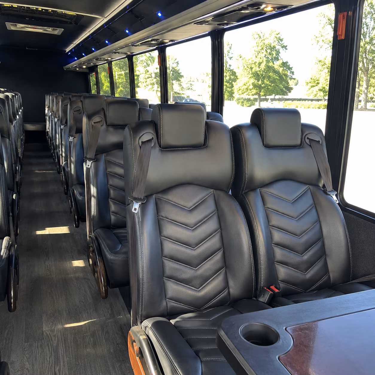 book a bus for your next birthday 3